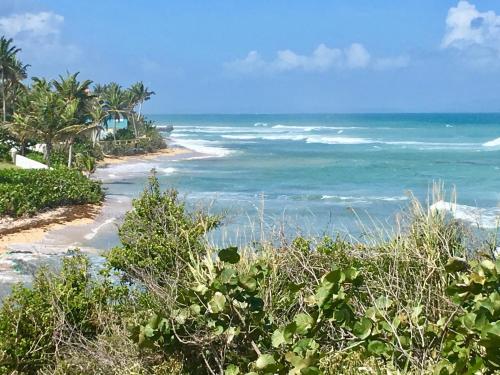 plage, Tranquility by the Sea in Vieques Island