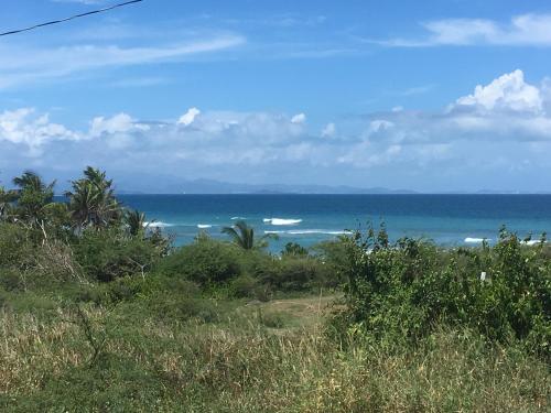 Afficher, Tranquility by the Sea in Vieques Island