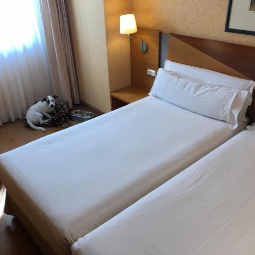Oca Villa de Avilés Hotel - image 7
