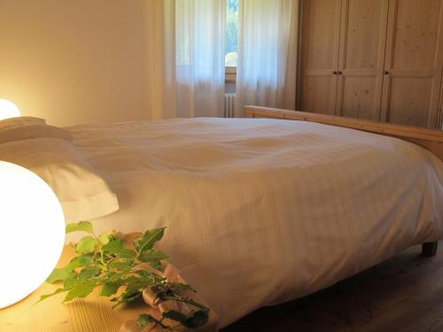 Il Cardo Trentino - image 12