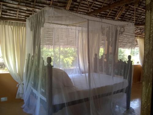 Mangrove House
