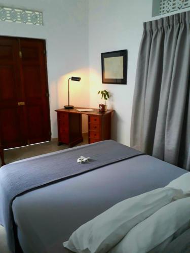 27 Spathodea- Oasis in the City, Kolombo (fotografie 9)