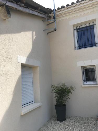 Le Margouillat photo 19