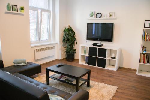 Sunny Aircon Apartment in the Centre of Slaný