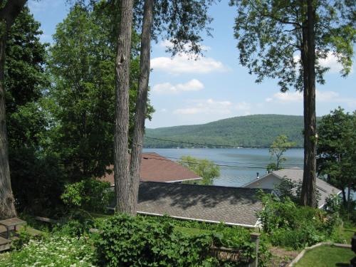 Hickory Grove Motor Inn - Cooperstown - 전망