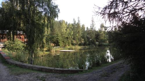 Bacówka Noclegi (Bacowka Noclegi) in Stara Kamienica