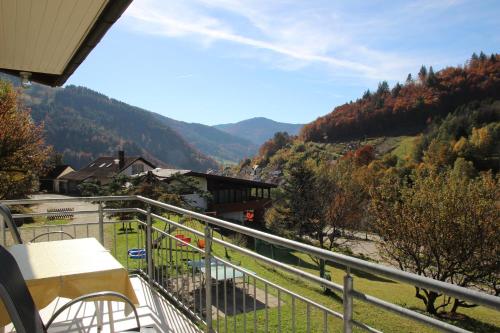 Steiert Panorama Apartments Todtnau - image 9