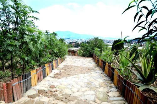 Garden, Green Eco Resort in Kirtipur