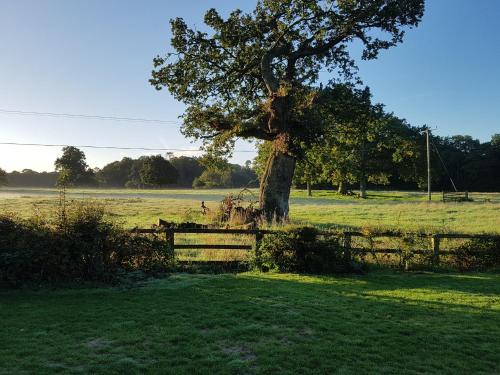 The Barn Tarporley