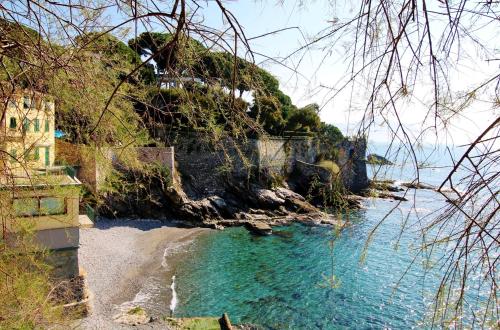 House Nervi by Holiday World, Janov (fotografie 10)