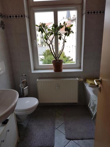 Kleine gemütliche Ferienwohnung, Drážďany (fotografie 9)