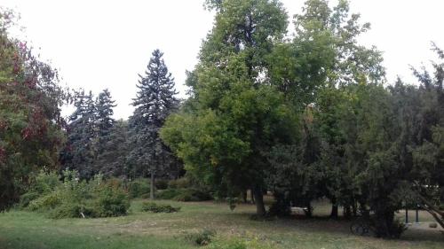 Stan na dan DUNJA 1 - image 7