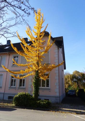 Зручності, Prinz Ole in Haan