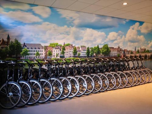 Dormio Hotel De Prins van Oranje, Maastricht (foto 9)