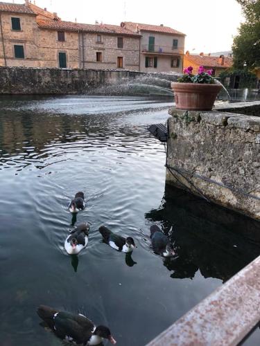 Peschiera sweet home
