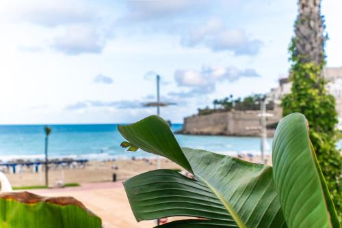 Duna Hotel Boutique - image 10