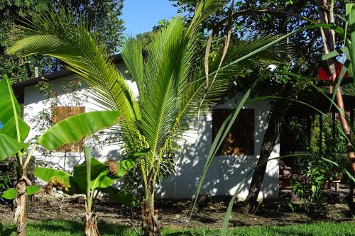 ทัศนียภาพภายนอกโรงแรม, Cabinas Los Tucanes in กาอุยตา