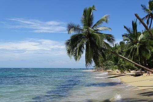 ชายหาด, Cabinas Los Tucanes in กาอุยตา