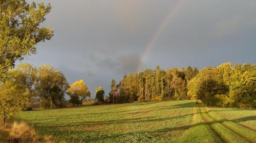 Ferienhof"WaldEsel Rippersroda"