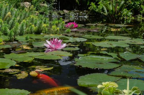 Casona Del Duende - image 6