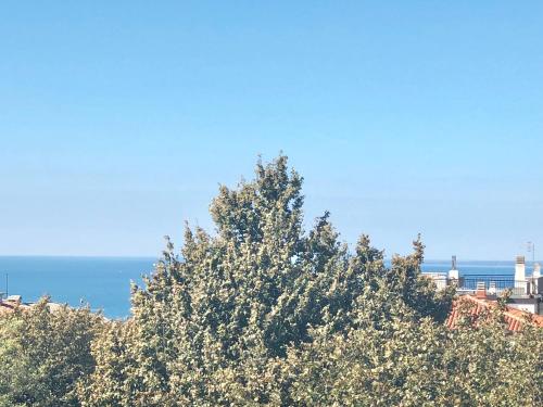Trieste Panoramico 4