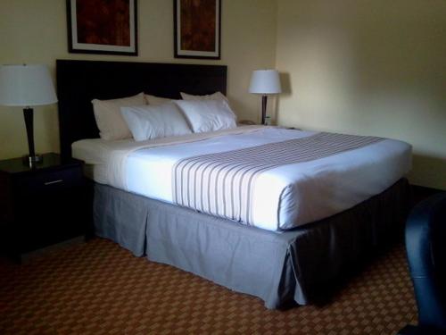 Econo Lodge Inn & Suites Shamokin Dam - Selinsgrove