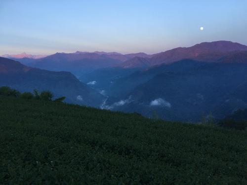 Alishan Tea Garden B&B