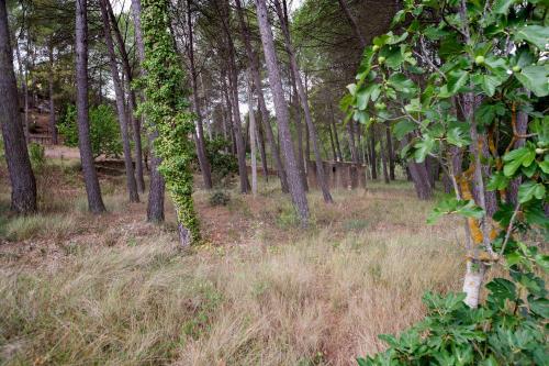  Rural Kairós "Un espacio con alma" in Siete Aguas
