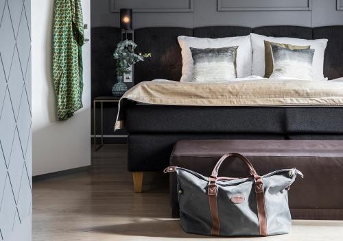 哥德堡斯堪的纳维亚丽笙酒店