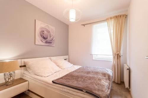 Standard Apartment image 2