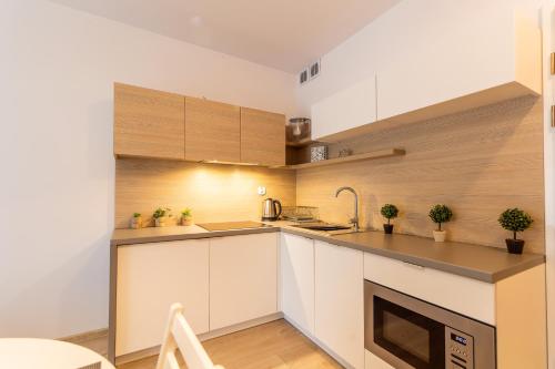 Standard Apartment image 4