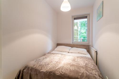 Standard Apartment image 6