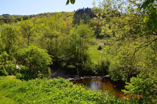  La Maison Forestiere in Couvin