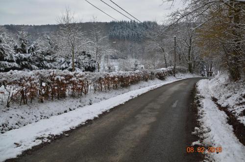  La Maison Forestiere in 5660 Couvin
