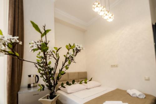 Star Hotel