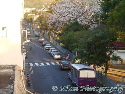 la plaine verte guesthouse