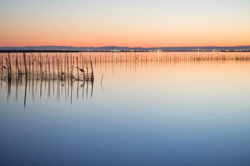 Aparthotel Albufera - image 4