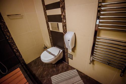 Soare-n Maramureș - image 6