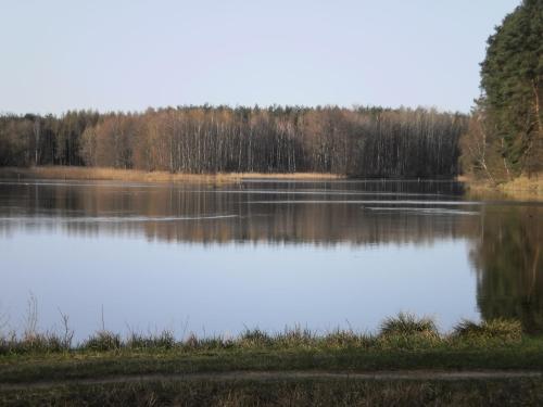 Ferienhäuser Waldidyll