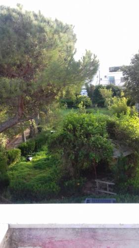 Villa Alma