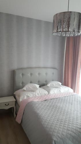 Wrocław APARTAMENTY KĘPA MIESZCZAŃSKA, Vratislav (fotografie 4)