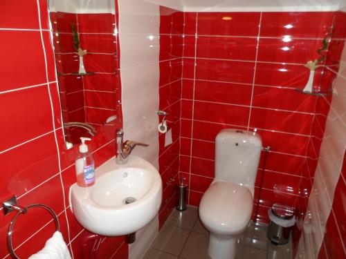 Hotel Lyon Sud Pierre Benite St Genis Laval - image 6