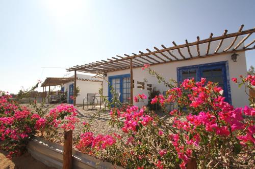 Santerra, Valle de Guadalupe