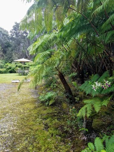 'Ama'u Lani Cottage in Volcano (HI)