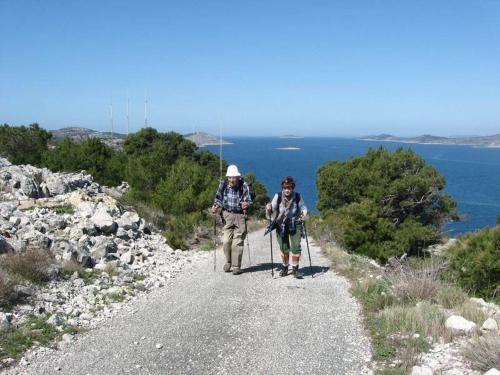 Apartmani Skoric, otok Zirje