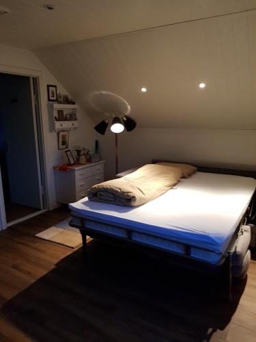 Kårboligen Kårboligen