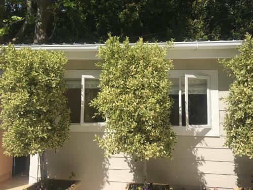 Foto - Little House Villa