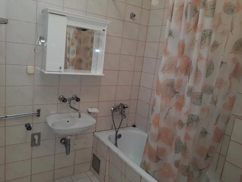 Apartments Đurašević Ivo - image 2