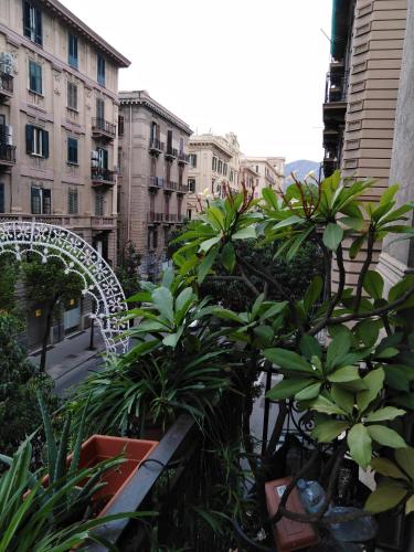 Medusa, Palermo (foto 8)