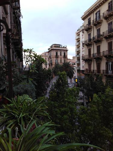 Medusa, Palermo (foto 6)